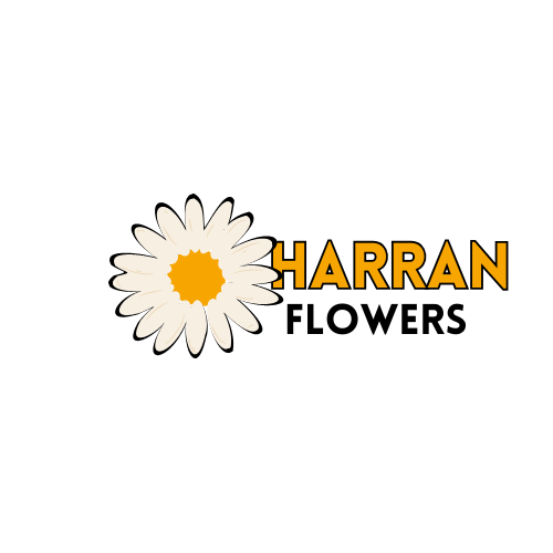 Harran Flowers l Adana Çiçekçi l Fidancılık